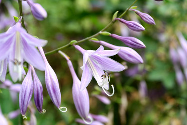 Similar image 1509604