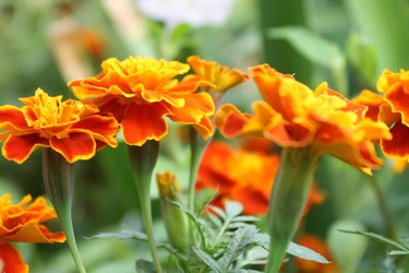 Similar image 1509605