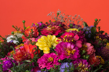 Similar image 1509621