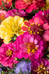 Similar image 1509622