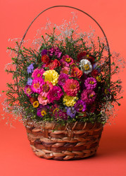 Similar image 1509624