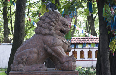 Similar image 1509628