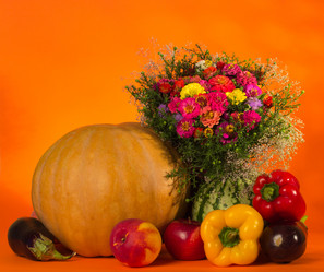 Similar image 1509640