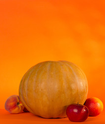 Similar image 1509641