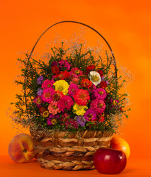 Similar image 1509642