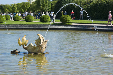 Similar image 1509689