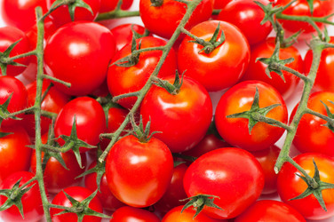 Similar image 1509713