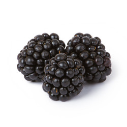 Similar image 1509788