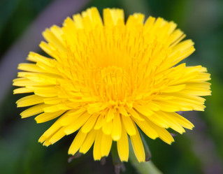 Similar image 1509997