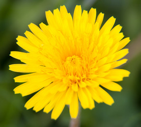 Similar image 1509998