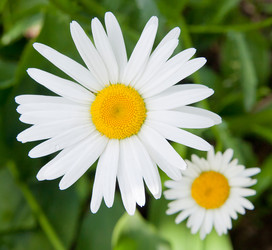 Similar image 1509999