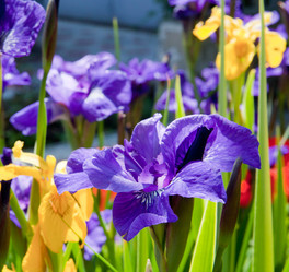 Similar image 1510000