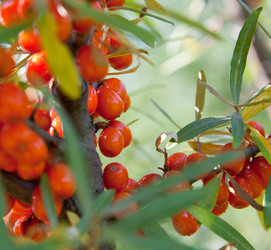 Similar image 1510001