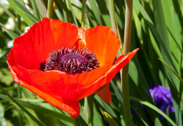 Similar image 1510002