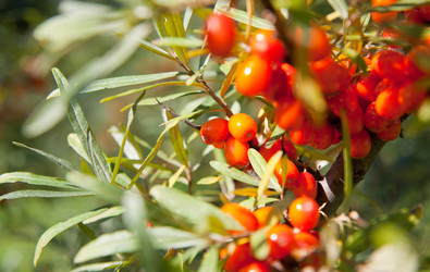 Similar image 1510003