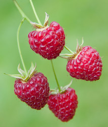 Similar image 1510016