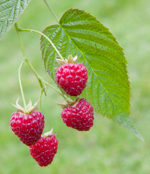 Similar image 1510017