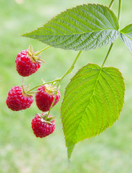 Similar image 1510020