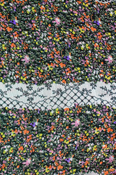 Similar image 1510024