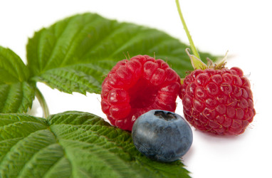 Similar image 1510030