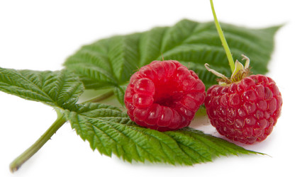 Similar image 1510031