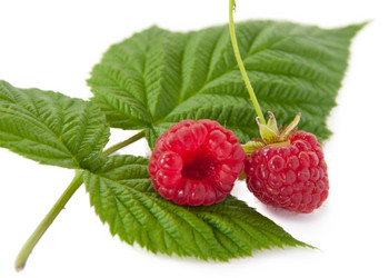 Similar image 1510032