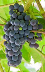 Similar image 1510033