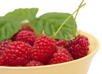 Similar image 1510035