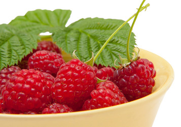 Similar image 1510036