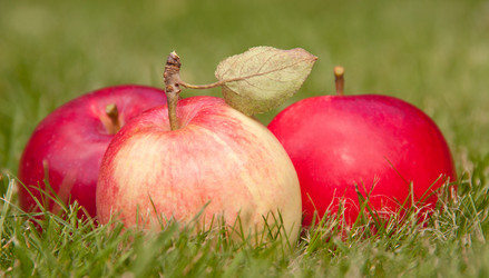 Similar image 1510045