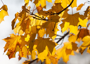 Similar image 1510047