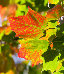 Similar image 1510048