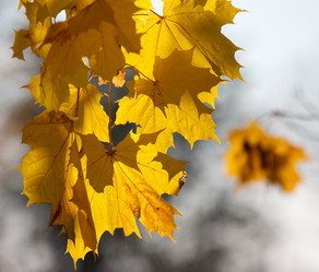 Similar image 1510049