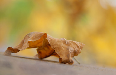 Similar image 1510052