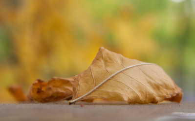 Similar image 1510053