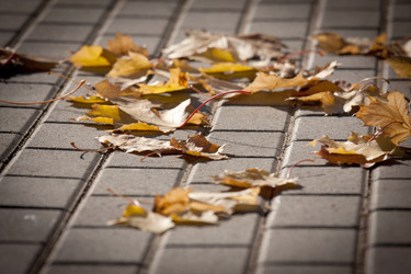 Similar image 1510056