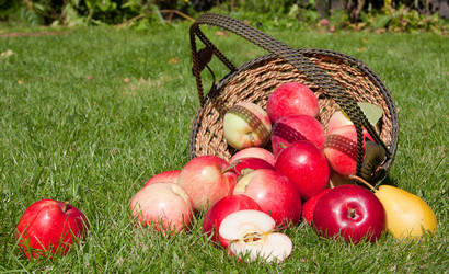 Similar image 1510058