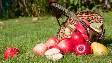 Similar image 1510059