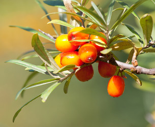 Similar image 1510062