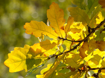 Similar image 1510063