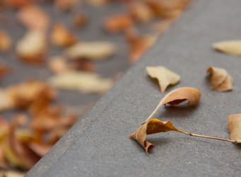 Similar image 1510065