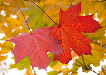 Similar image 1510068