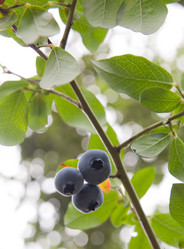 Similar image 1510069