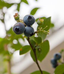 Similar image 1510070