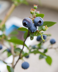 Similar image 1510071