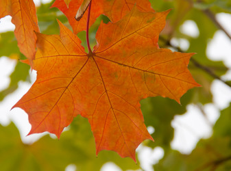 Similar image 1510078