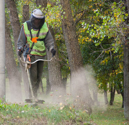 Similar image 1510081