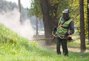 Similar image 1510082