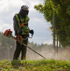 Similar image 1510083