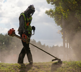 Similar image 1510084